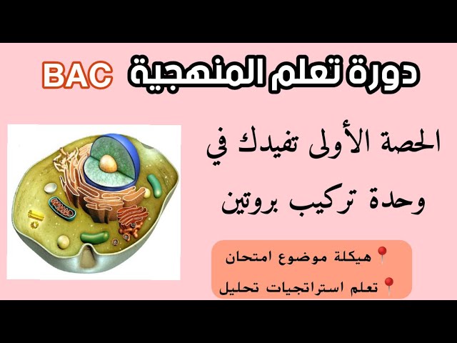 دورة منهجية(1): BAC2023💪خاصة بوحدة تركيب بروتين ✅