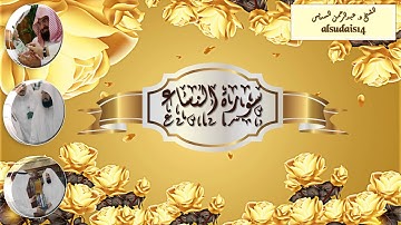 سورة النساء للشيخ عبدالرحمن السديس