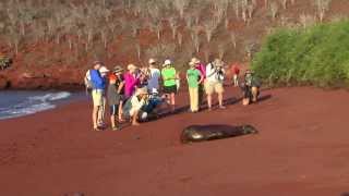 Red Sand Beaches of Galápagos