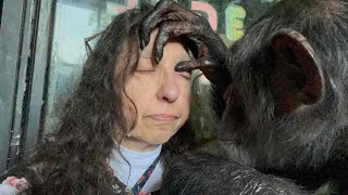 Grooming On Bastille Day