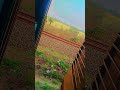 inko ham leke chale h apni sang apni nagariya #shorts #video
