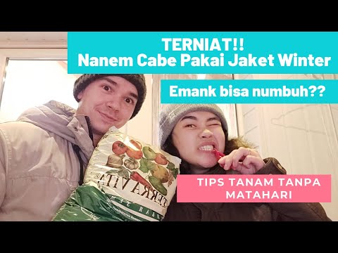 Video: Taman Di Rusia: Apa yang Dapat Kita Pelajari dari Gaya Berkebun Rusia