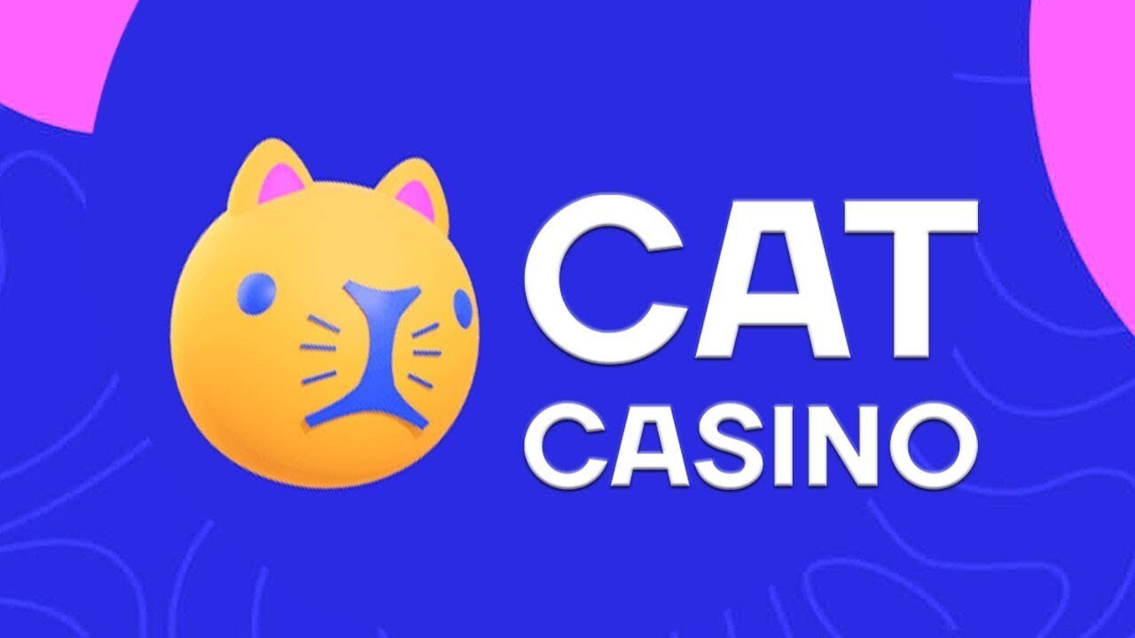 Cat casino сайт cyou