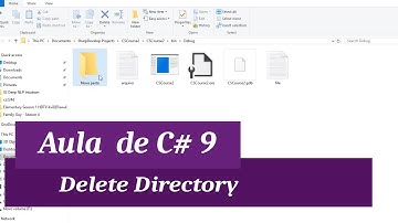C# Intermediário I Aula 9 - Excluir Diretório