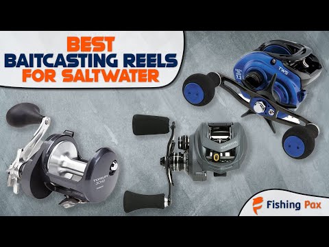 Best Baitcasting Reels For Saltwater 