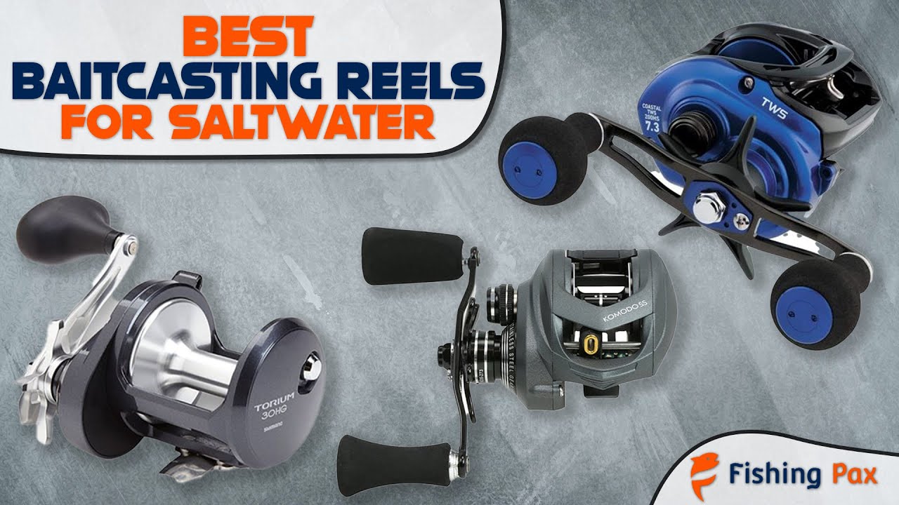 abu 50g fishing reel Abu Garcia C3 Striper Special Round Reel