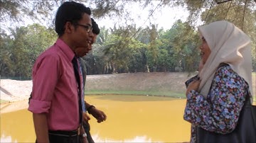 Separate Entity (PMM_JP)