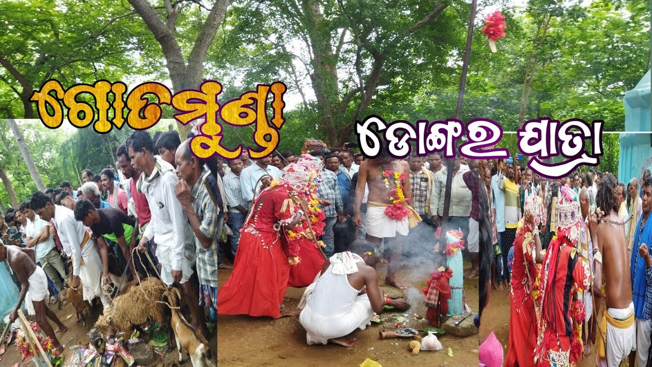 Gotamunda // maa sarbamangala //  ghantimundiani // Gotamunda video dongar jatra