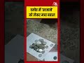 दमोह में ‘खजाने’ को लेकर मचा बवाल #DamohTreasureNews #SilverCoins #viralvideo #shortsvideo