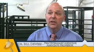 Dr. Bill DeWees Pre-Vet Medicine MSU