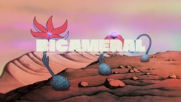 The Range - Bicameral (Official Video)