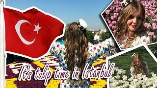 It&#39;s tulip time in Istanbul! 🌷Istanbulda lale zamani! 🌷Истанбулда лале заманы!