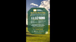 2025-09-10 5º Remate Pantalla Bachino