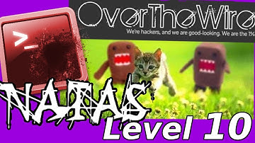 Python Web Hacking: Remote Code Execution | Natas: OverTheWire (Level 10)