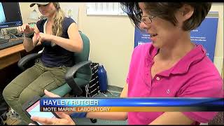 Video: Mote scientists find new ways to research red tide