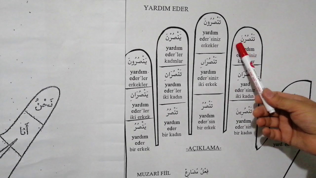 2-Muzari fiil nedir?  Muzari fiil nasıl çekilir? Kolay anlatımla sizlerle.. (Emsilei Muddaride