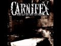 Carnifex - Love lies in ashes