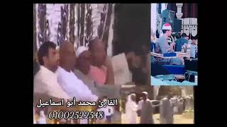 القارئ محمد ايمن ابو اسماعيل