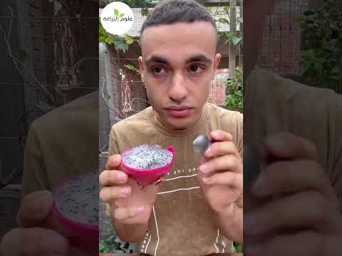 الجزء الاول جربت فواكهه غريبه الدراجون فروت زراعة اكسبلور   