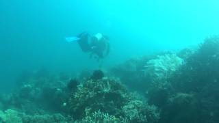 Dive In Samalona Island