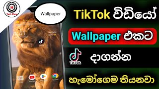 How to use TikTok Video On Wallpaper Android | How to use tiktok video as wallpaper on android