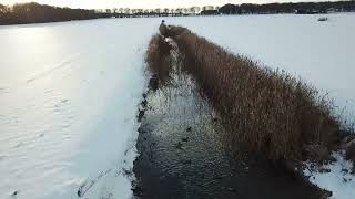 Dutch Outdoor Winter Calm And Snow Moments 2026