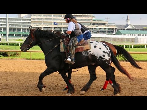 Who Is Harley The Magnificent