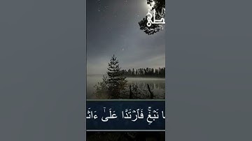 تلاوة هادئة للقارئ الحسن سيد الشنقيطى من سورة الكهف/القرآن الكريم