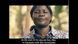 Stand Tall Education Network - Trailer