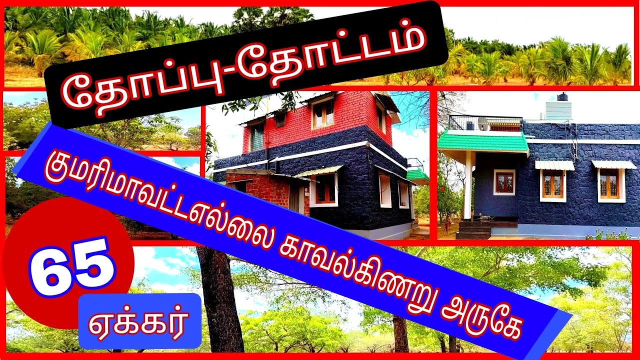 கன்னியாகுமரி மாவட்ட எல்லை அருகே 65 ஏக்கர் தோட்டம்.தோப்பு-2368-026.01.03