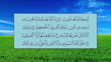 سورة العنكبوت (الآية 36 ~ الآية 45) - ماهر بن حمد المعيقلي