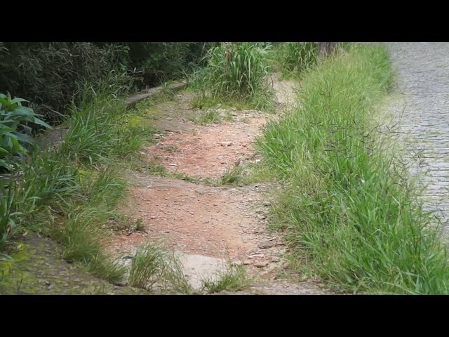 Moradores reclamam da falta de manutenção na rua Jaguaribe no bairro da Fazendinha