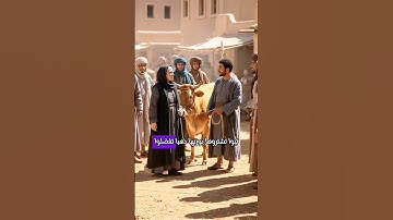 #قصة_الجزء_الاخير_النبي_موسى_عليه_السلام #دعاء #أذكار #صباحيات #اكسبلور #قرآن #المصحف #