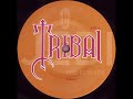Miniature de la vidéo de la chanson Tribal Jedi (Ian Pooley Mix)