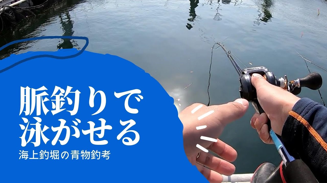 海上釣堀 脈釣りでアジを泳がせて釣る青物 Youtube