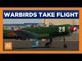 Falcon Warbirds honor fallen Valley heroes on Memorial Day