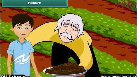 NCERT|CBSE Class 8-Science| Crop Production| Animation in English|easy and fun