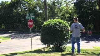 hedge trimming with the 327HE4