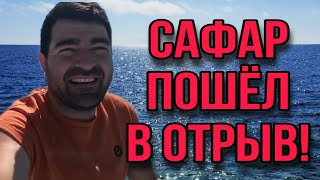 САФАР ПОШЁЛ В ОТРЫВ! ОЛЬГА УРАЛОЧКА LIVE. ОБЗОР.