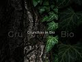 ruheton - Grundton VII