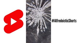 Adivina: ¿qué piedra es esta? 💎 (piedra negra que lleva el nombre de una flor) #AlfredoisticShorts
