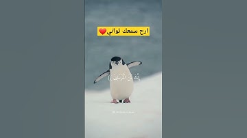 يس والقرآن الحكيم # #اجر_لي_ولك #ارح_قلبك #تلاوة_خاشعة #قران_كريم