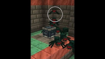 May 5, 2024: cave spider spawning