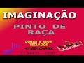 IMAGINAÇÃO - PINTO DE RAÇA - DIMAS E SEUS TECLADOS - POUT- POURRI KARAOKÊ - KIT SAMPLER KONTACT TOP!