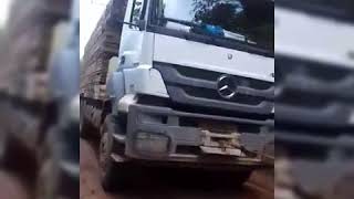 MÁFIA DA TORA:13 caminhões botando preçao no barro