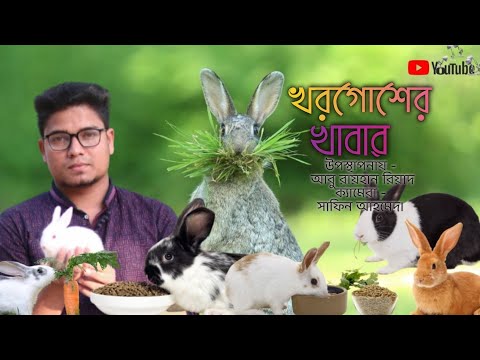 ভিডিও: আপনার কি এন্ডাইভ ধোয়ার দরকার আছে?