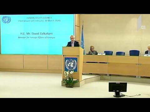გაერო-ს ადამიანის უფლებათა საბჭოს სესია