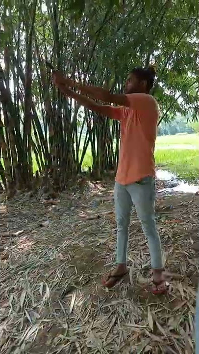 sixer ke chhau goli chhati me re power hola Khali  ahi jati  me re