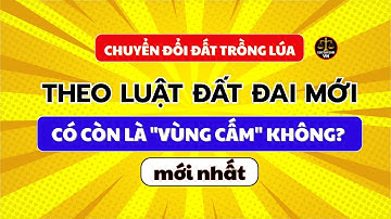 Chuyển đổi đất TRỒNG LÚA THEO LUẬT ĐẤT ĐAI mới Có Còn Là "VÙNG CẤM" Không?