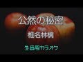 【カラオケ】公然の秘密 - 椎名林檎【オフボーカル】
